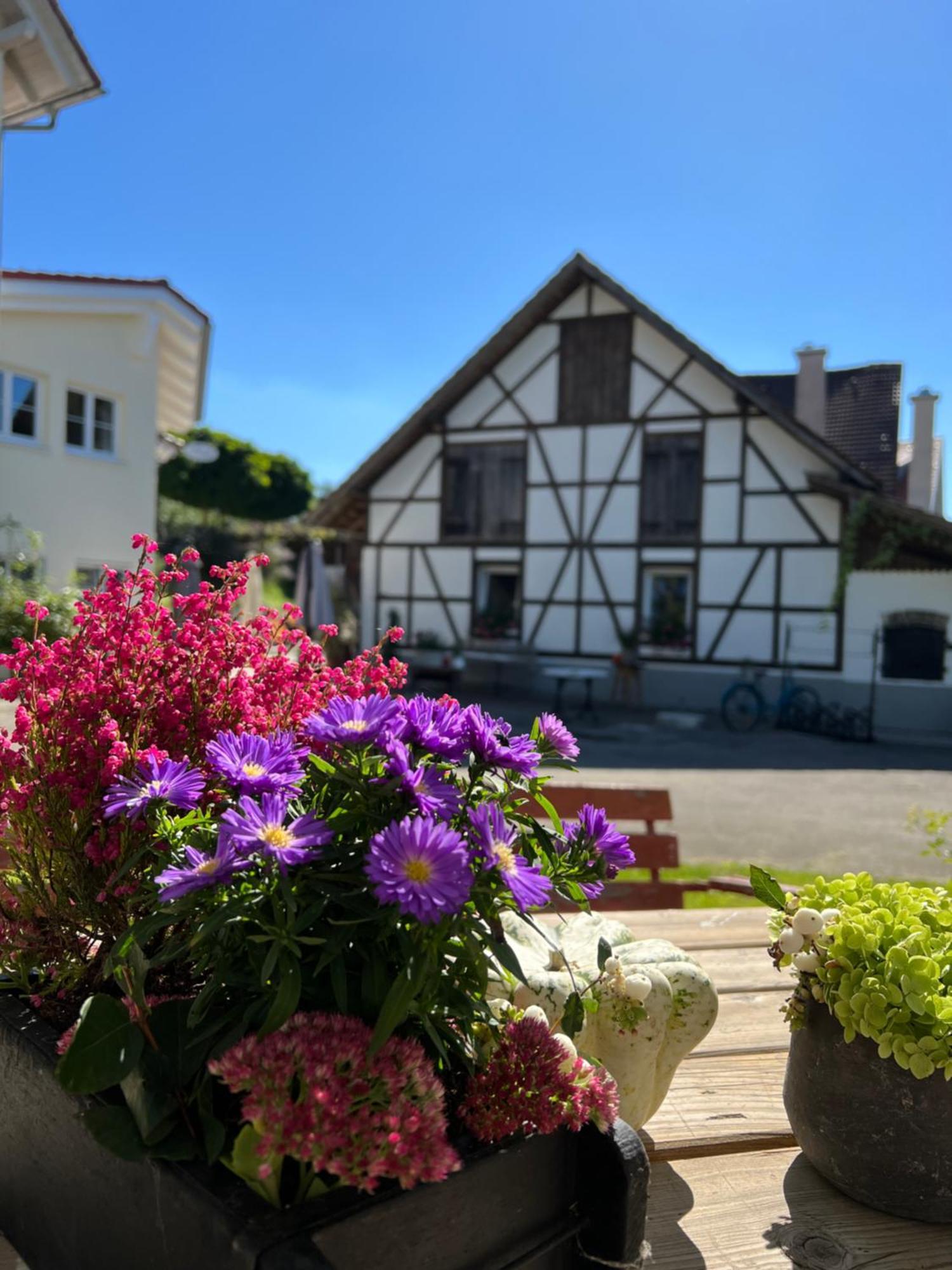 Cafe Canape, Wohlfuehlen Im Schoenen Hof Zwischen Ravensburg & Bodensee Luaran gambar